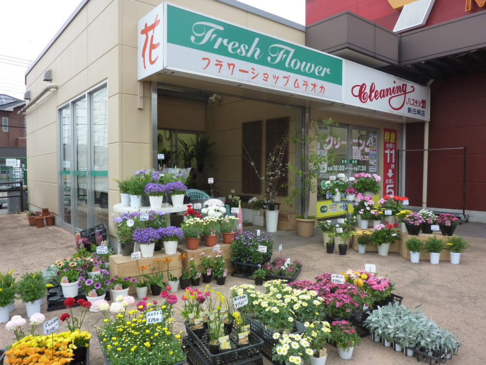 【生花店】フラワーショップムラオカ