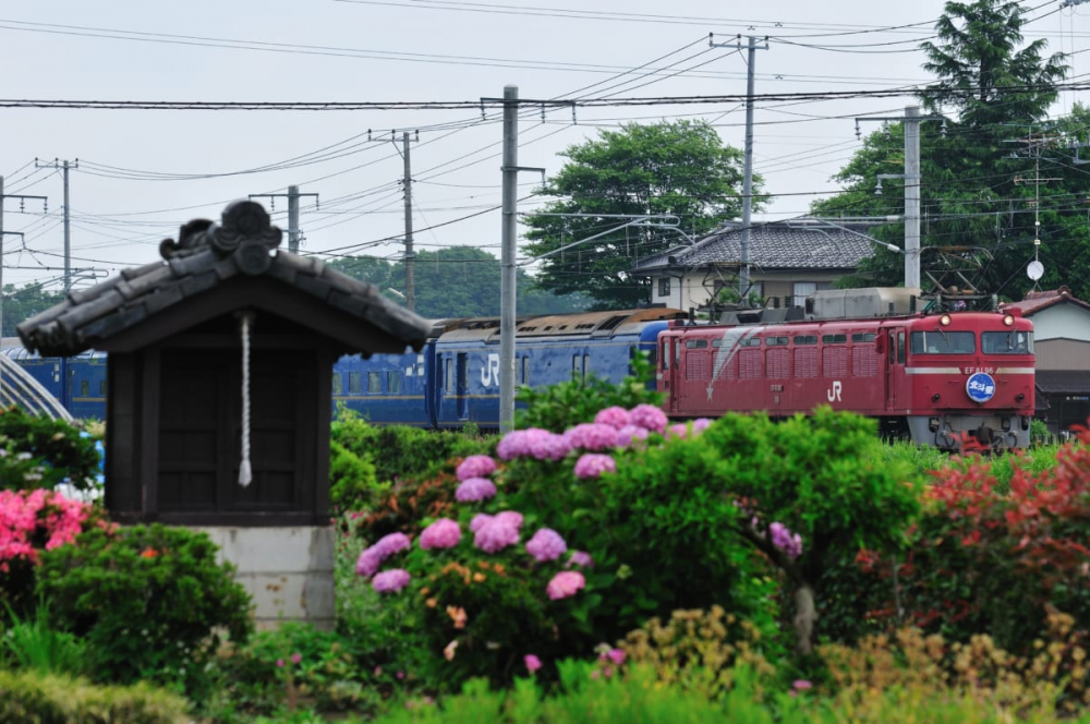 白岡で撮影した鉄道写真　その6