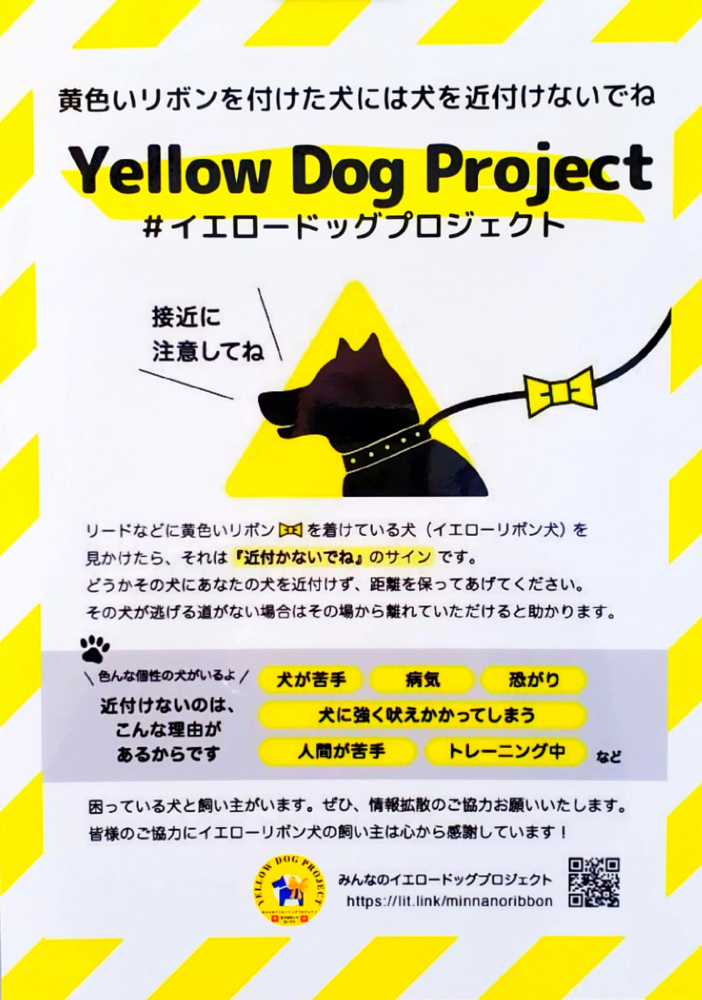 イエロードッグプロジェクト🐶