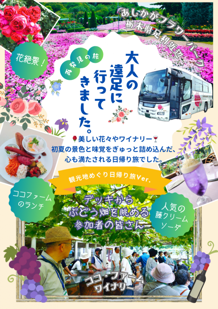 「観光地めぐり/大人の遠足」のご報告